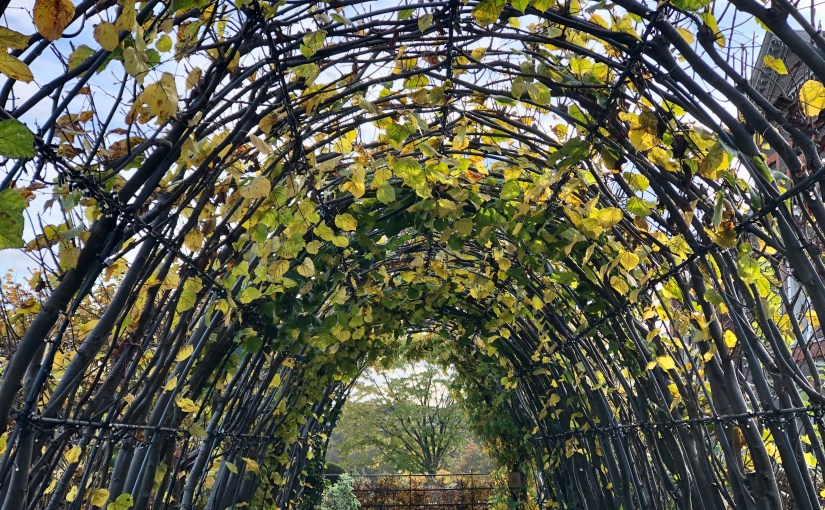 How Letting Go Was My Secret to&nbsp;Success